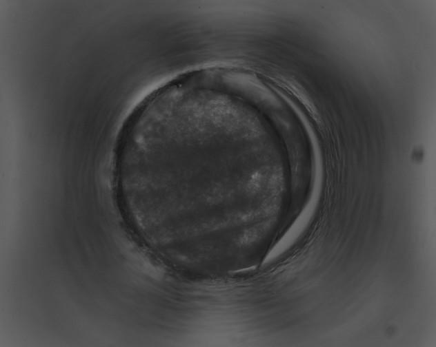 X0000095540724200801041308