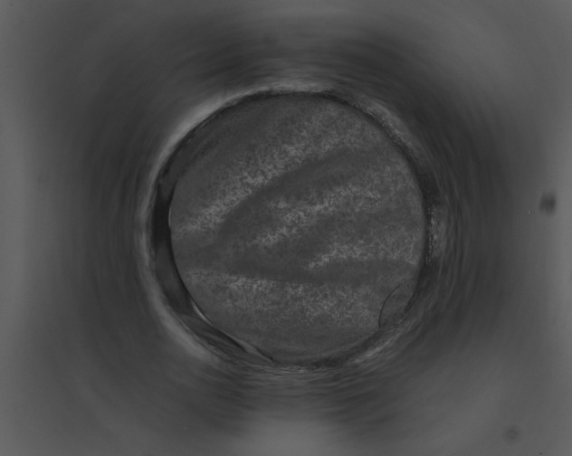 X0000095540726200801041308