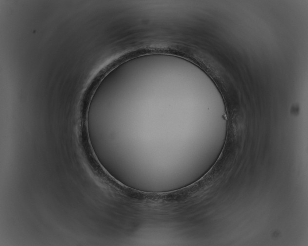 X0000095540728200801041308