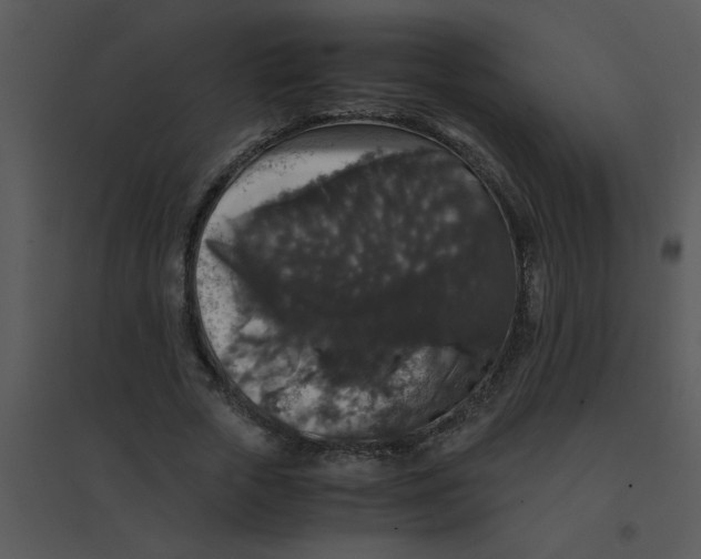 X0000095540729200801041308