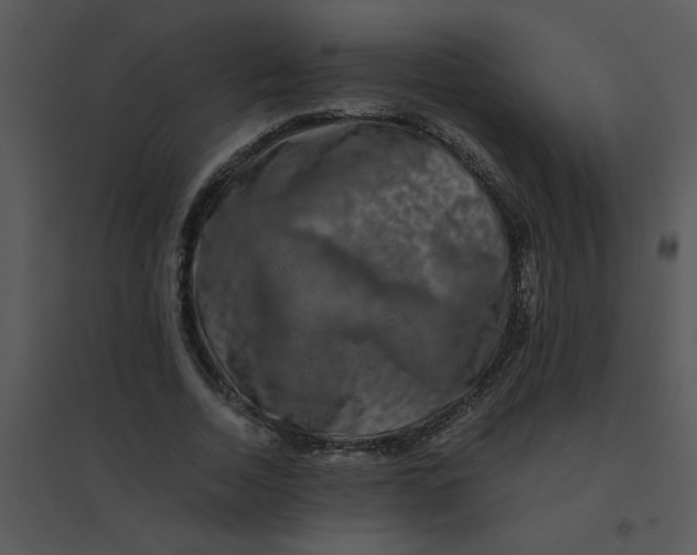 X0000095540730200801041308