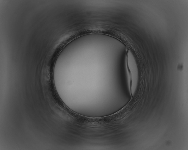 X0000095540731200801041308