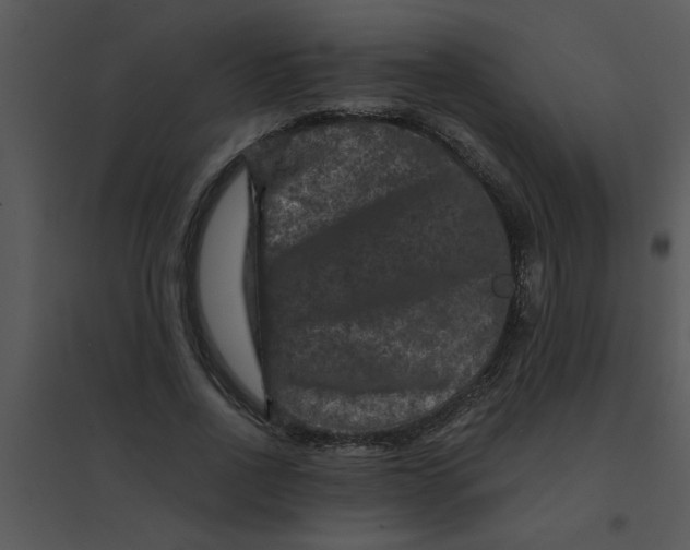 X0000095540734200801041308