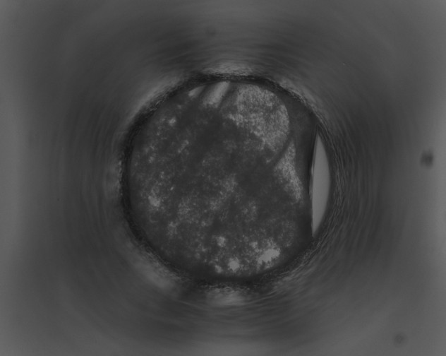 X0000095540735200801041308