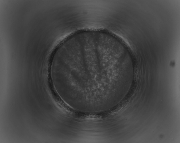 X0000095540736200801041308