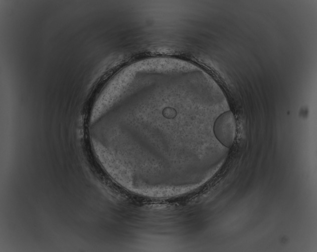 X0000095540738200801041308