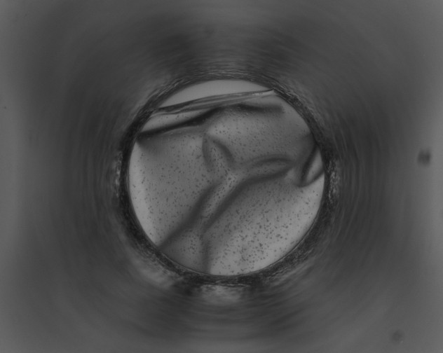 X0000095540739200801041308