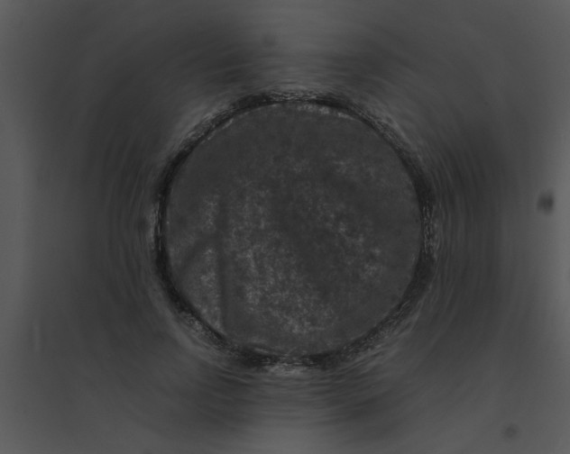 X0000095540742200801041308