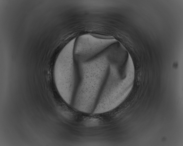 X0000095540743200801041308