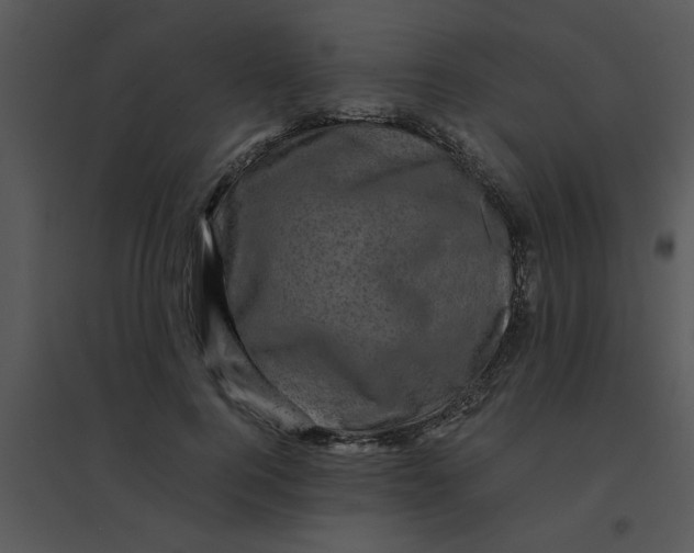 X0000095540744200801041308