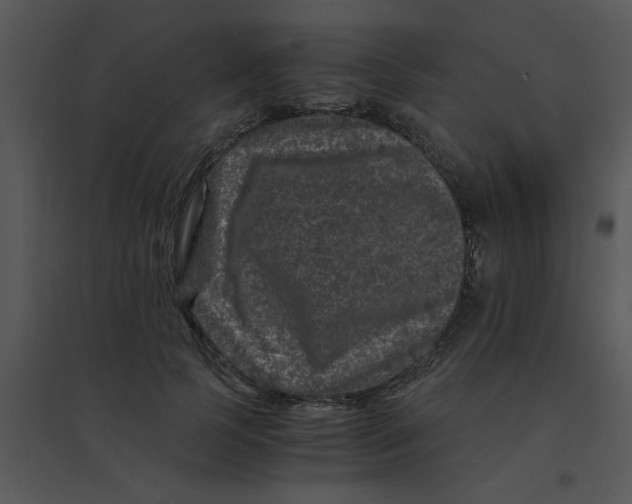 X0000095540745200801041309