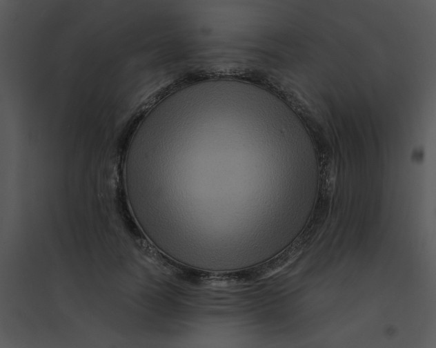 X0000095540746200801041309