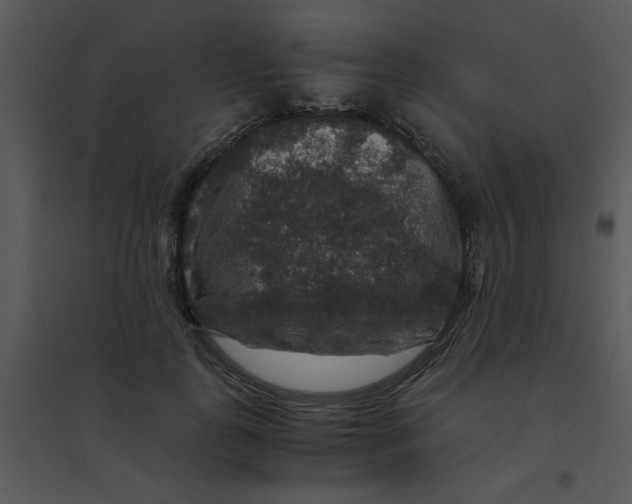 X0000095540747200801041309