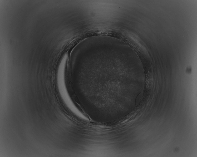 X0000095540748200801041309