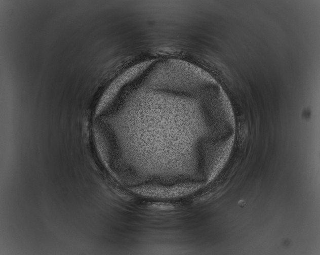 X0000095540749200801041309