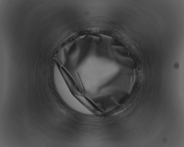 X0000095540750200801041309