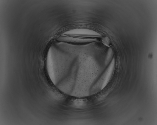 X0000095540751200801041309