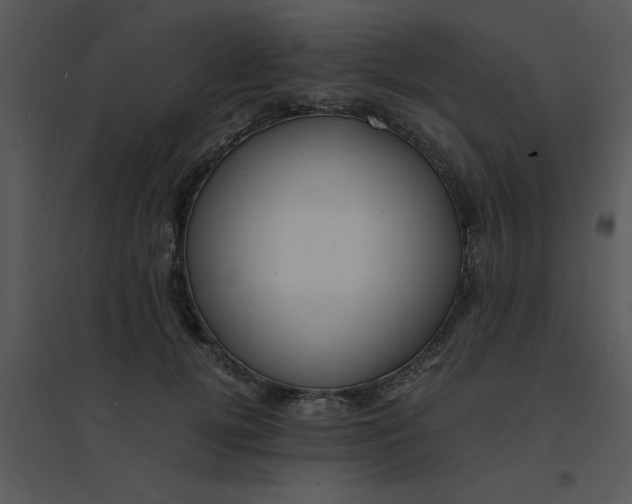 X0000095540752200801041309