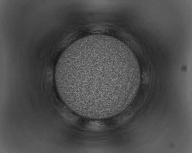 X0000095540753200801041309