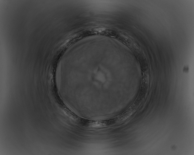 X0000095540754200801041309