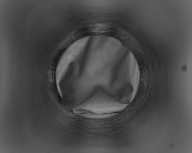 X0000095540755200801041309