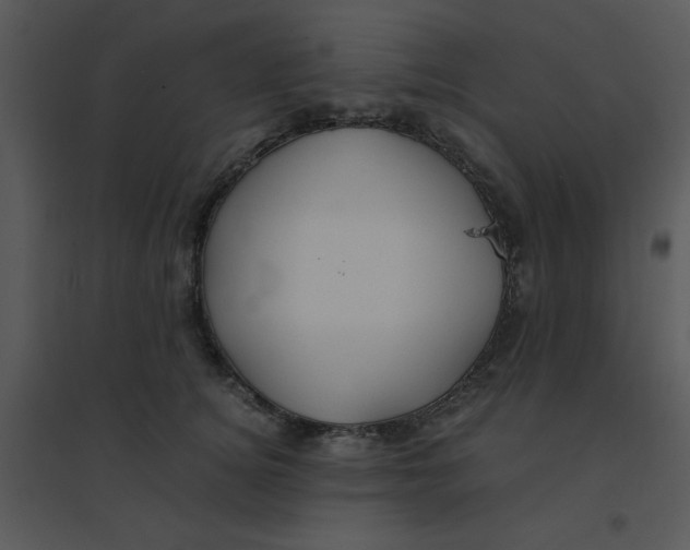 X0000095540756200801041309