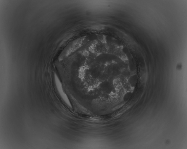 X0000095540758200801041309