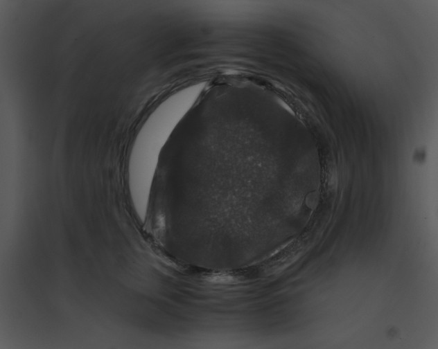 X0000095540759200801041309