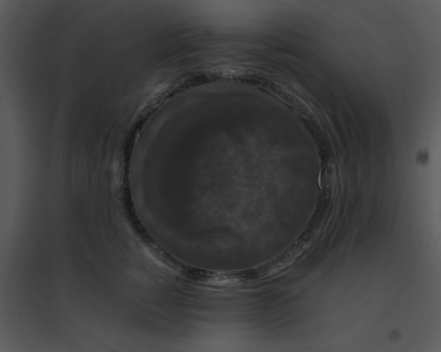 X0000095540760200801041309