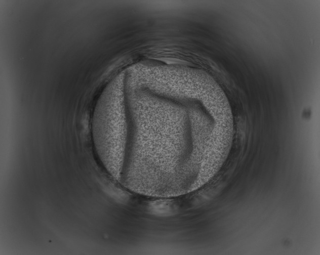 X0000095540761200801041309