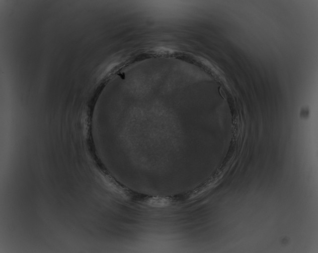 X0000095540762200801041309