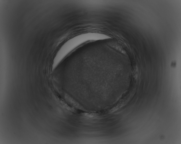 X0000095540763200801041309