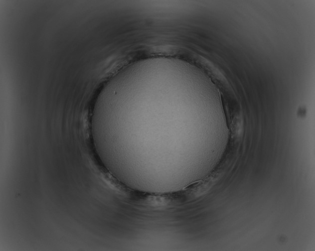 X0000095540764200801041309