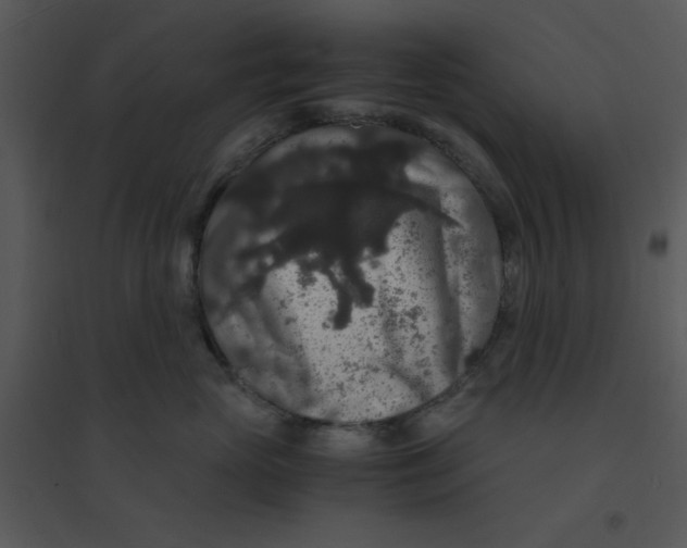 X0000095540765200801041309