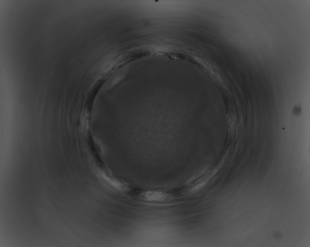 X0000095540766200801041309