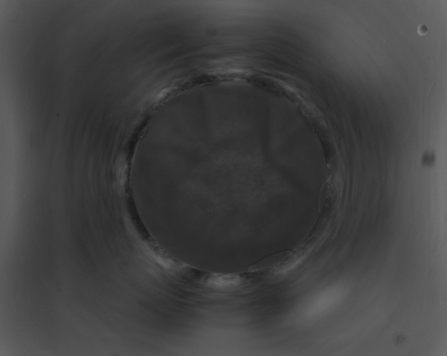 X0000095540767200801041309