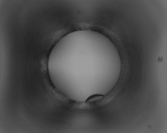 X0000095540768200801041309