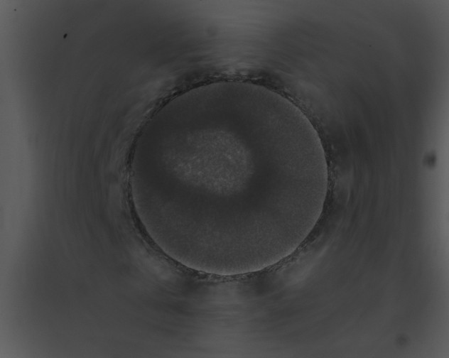 X0000095540769200801041308