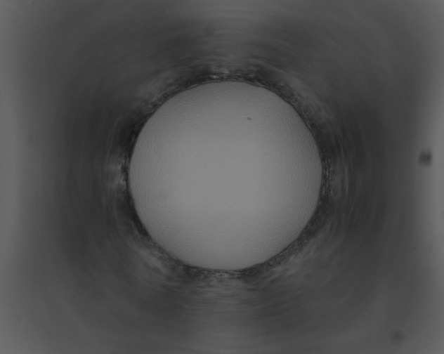 X0000095540770200801041308