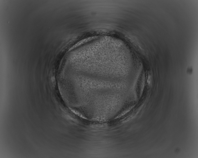 X0000095540771200801041308