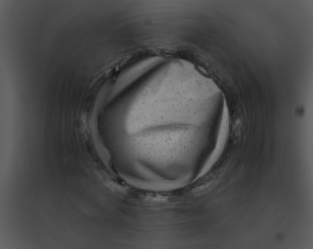 X0000095540772200801041308