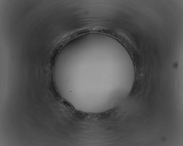 X0000095540773200801041308