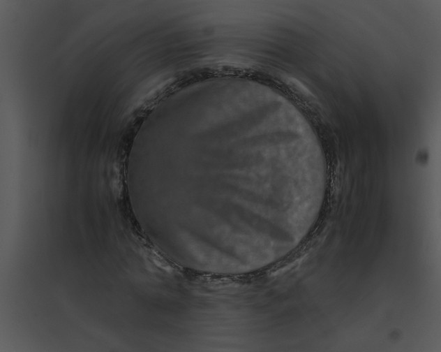 X0000095540774200801041308