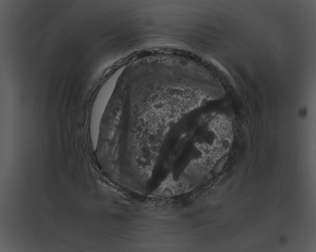 X0000095540775200801041308