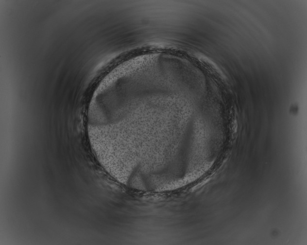 X0000095540776200801041308