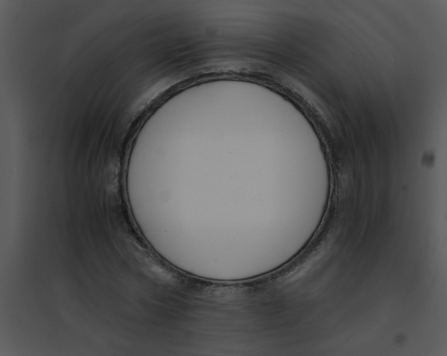 X0000095540778200801041308