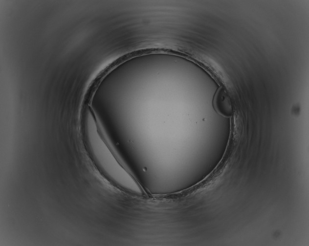 X0000095540780200801041308