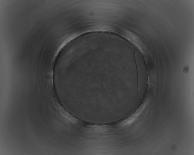 X0000095540781200801041308