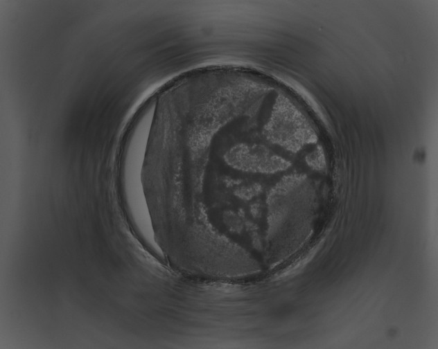 X0000095540783200801041308