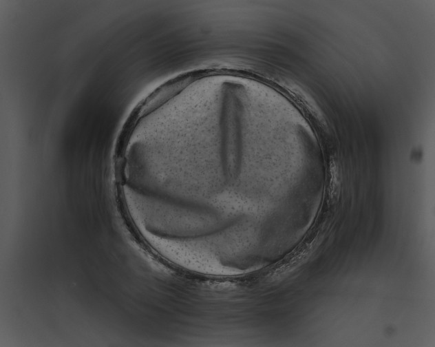 X0000095540784200801041308